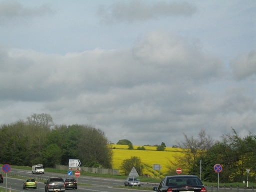 a0043326_2053395.jpg