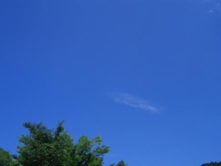 b0181027_23471755.jpg