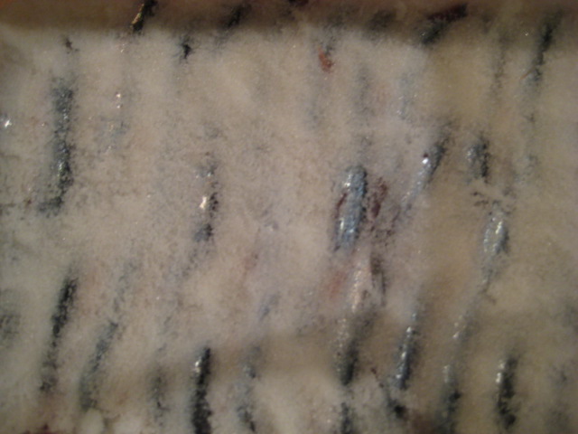 d0147727_654253.jpg
