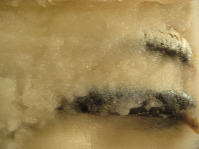 d0147727_658330.jpg
