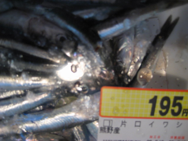 d0147727_72551.jpg