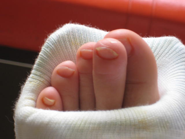 e0166032_20151786.jpg