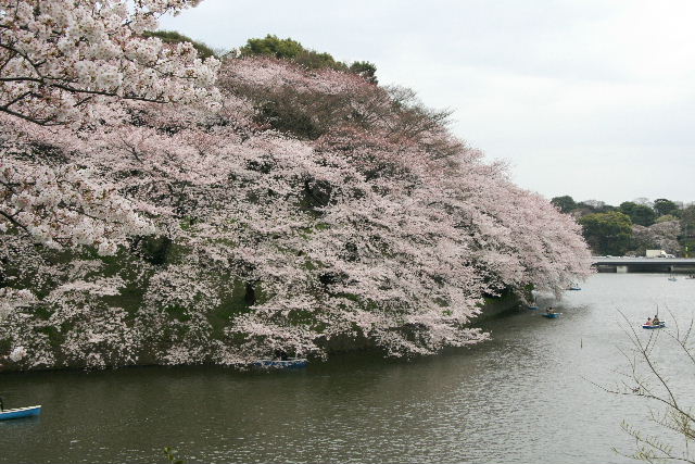 e0064133_14534843.jpg
