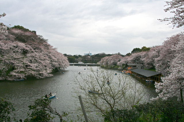 e0064133_14541372.jpg
