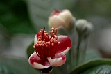a0017634_11383377.jpg