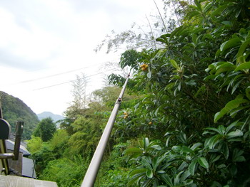 c0183137_18422186.jpg