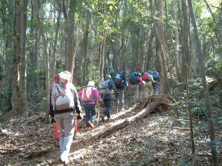 c0077338_10332192.jpg