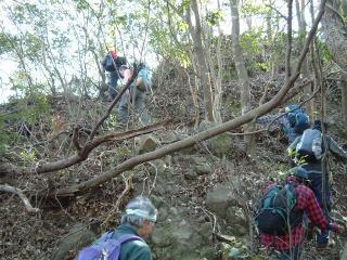 c0077338_1036516.jpg