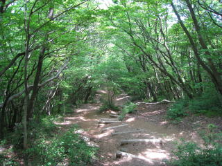 c0077338_11383223.jpg