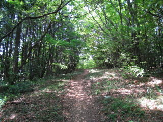 c0077338_1140589.jpg