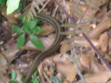 c0077338_13155499.jpg
