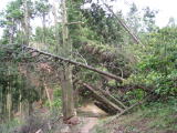 c0077338_13171764.jpg