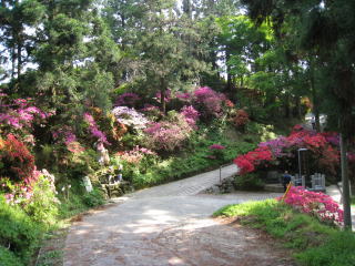 c0077338_13205063.jpg