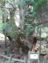c0077338_13233975.jpg
