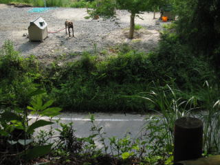 c0077338_13271627.jpg