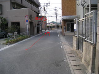c0077338_1341419.jpg