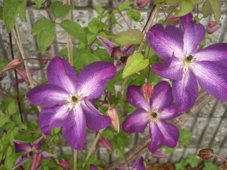 c0025140_17421874.jpg