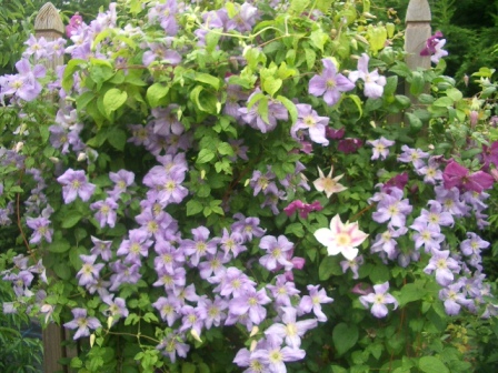 c0025140_17432661.jpg