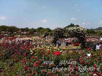 f0204440_23101717.jpg
