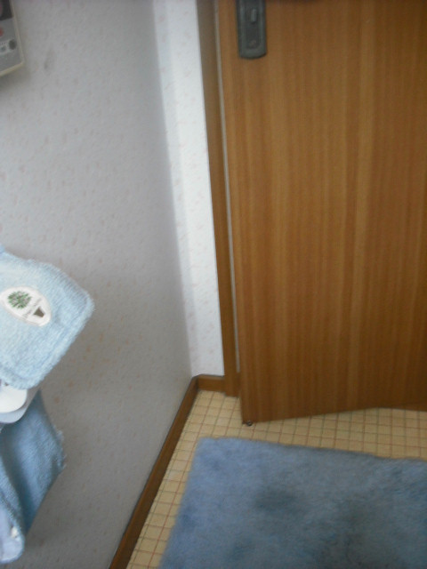 c0194042_2153149.jpg