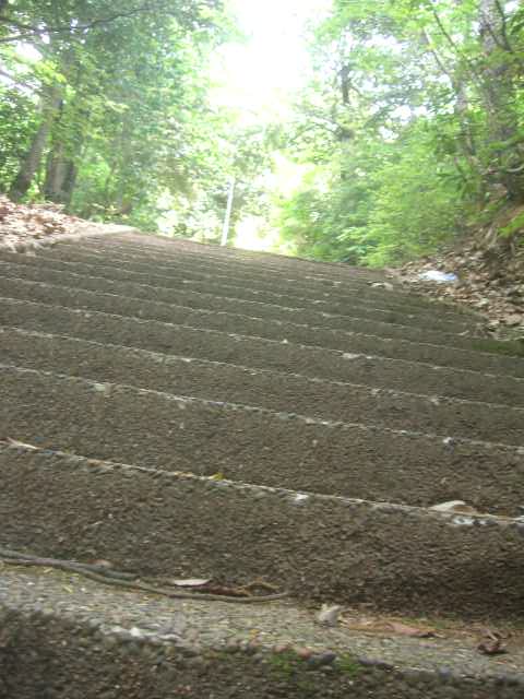 b0174844_845531.jpg