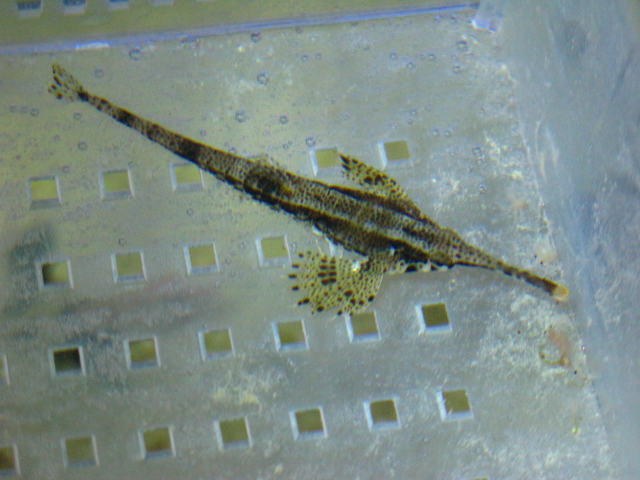 f0198950_22221545.jpg