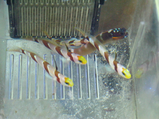 f0198950_22225877.jpg