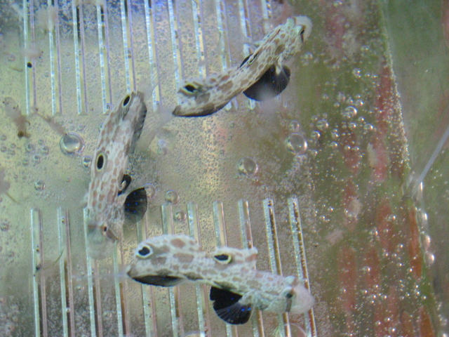 f0198950_22231864.jpg