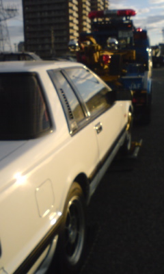 e0012551_14885.jpg