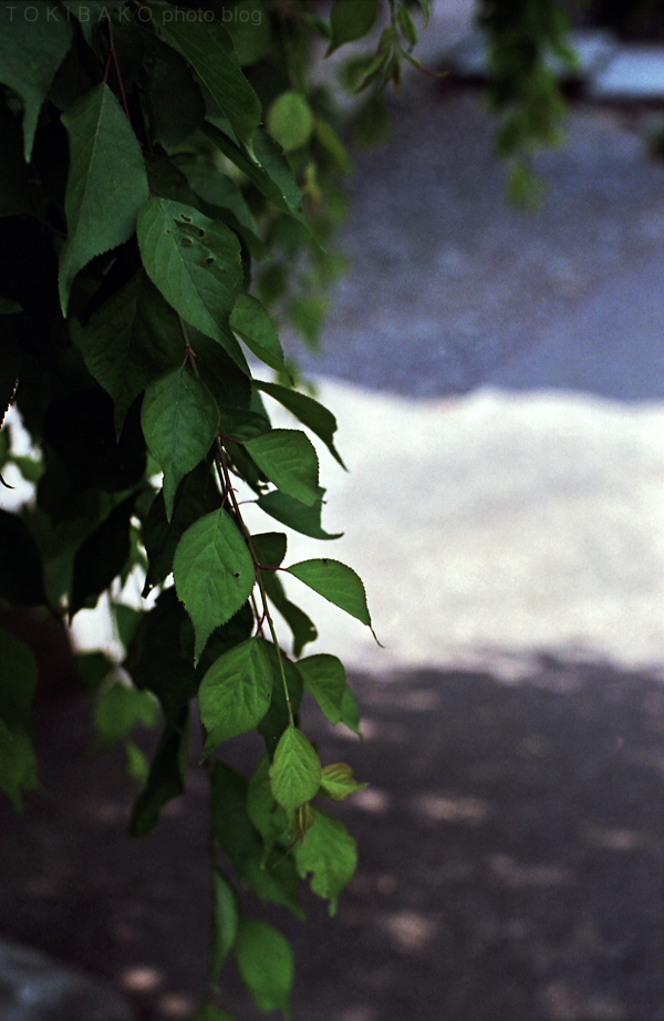 d0100156_2092645.jpg