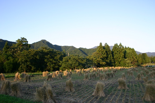 b0079965_5435988.jpg