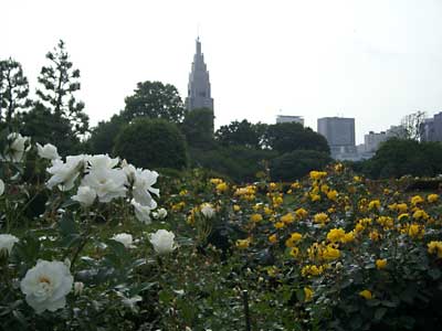 e0097770_0322617.jpg