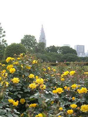 e0097770_0325440.jpg