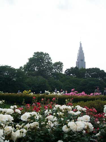 e0097770_0341460.jpg