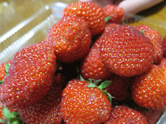d0050871_1745285.gif