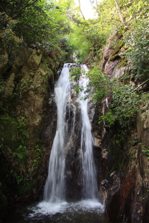 c0151875_0125585.jpg