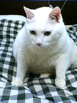 f0054677_854618.jpg