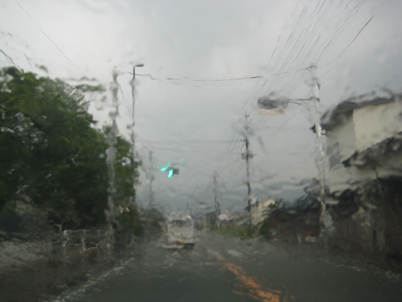 b0189180_2015828.jpg