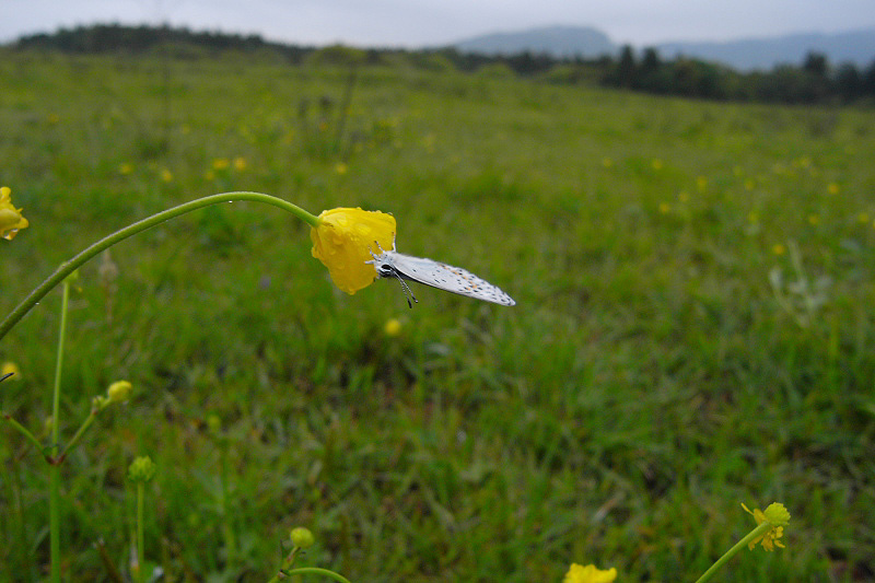 f0090680_8593549.jpg