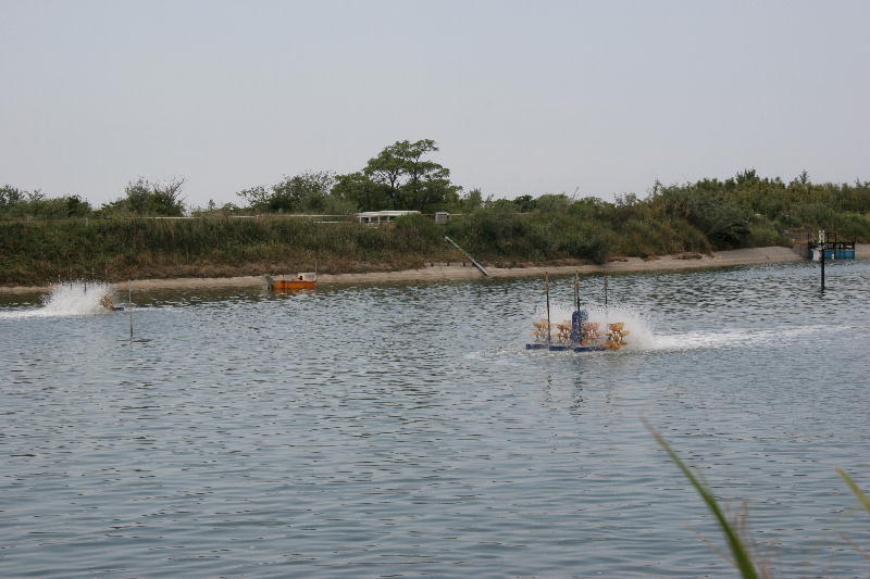b0171185_2103879.jpg