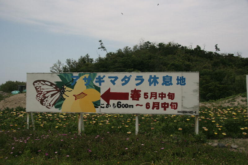 b0171185_21374859.jpg