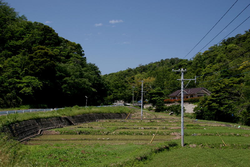 b0171185_22413490.jpg