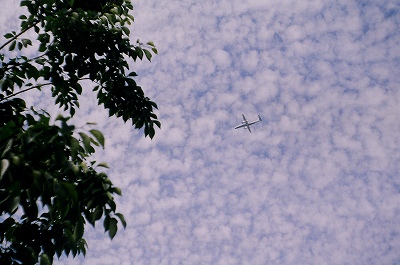 c0160387_8472899.jpg