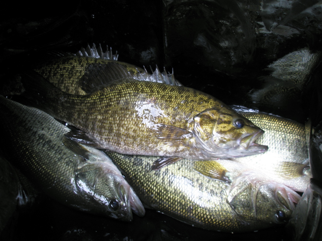 f0024887_23562378.jpg