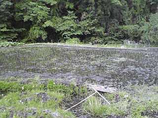c0193390_11263882.jpg