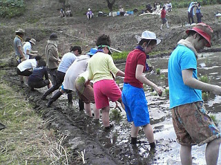 c0193390_11402042.jpg
