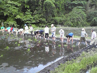 c0193390_11403237.jpg