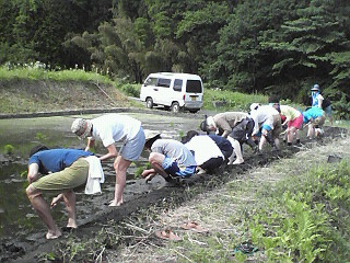 c0193390_1140858.jpg