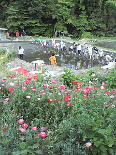 c0193390_11425937.jpg