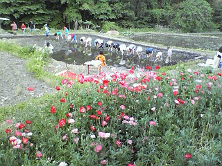 c0193390_11463655.jpg